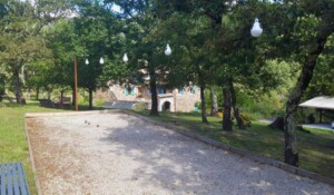 Terrain : jeu de boules, Mölkky.