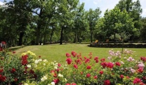 Une partie du parc.