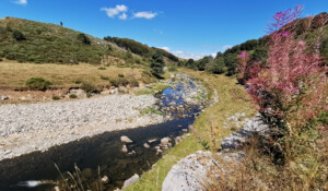 Les sources de la Loire_Sainte-Eulalie