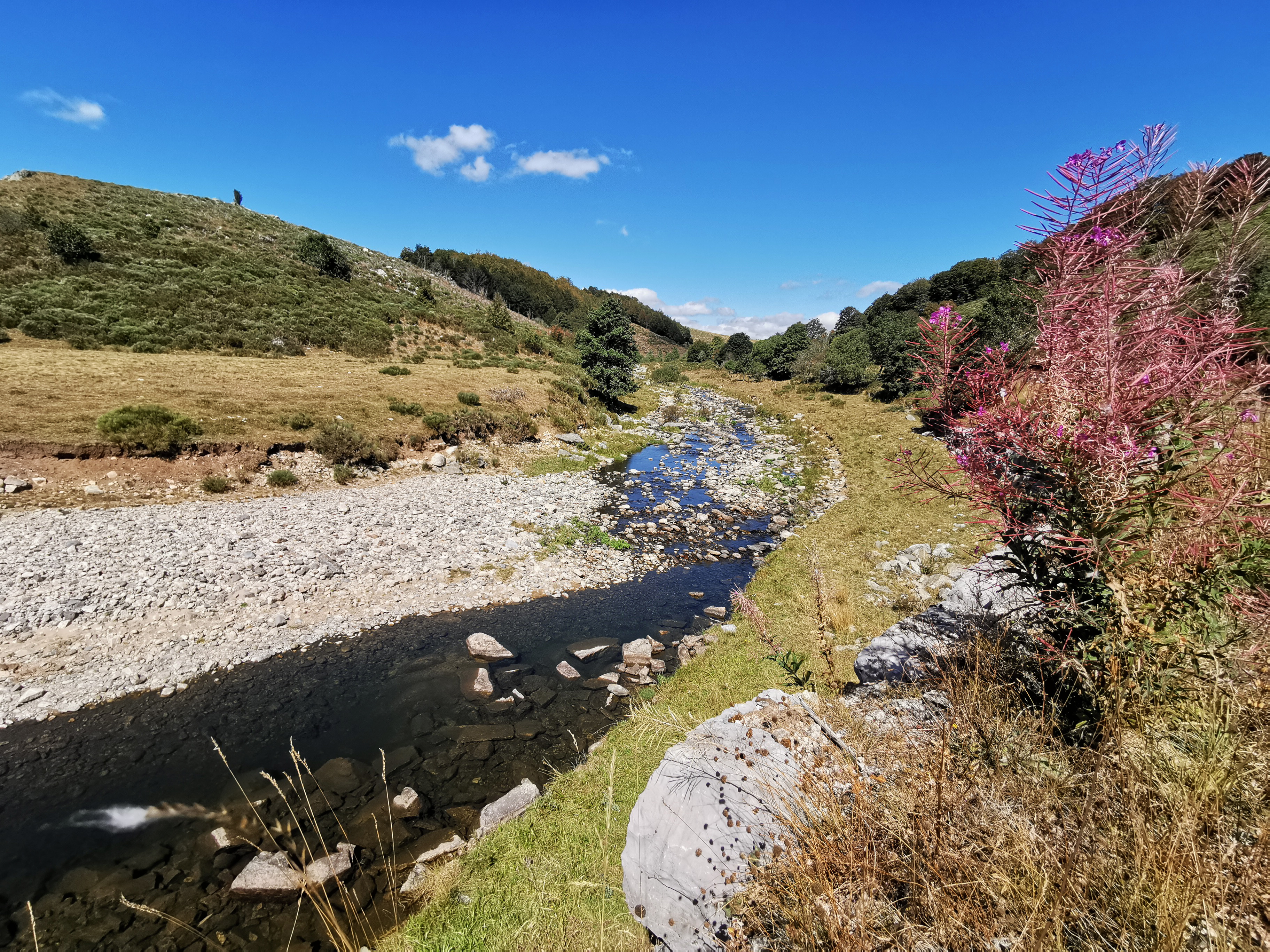 Les sources de la Loire_Sainte-Eulalie