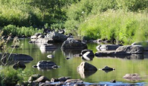 A walk and a picnic by the river with a donkey_Burzet