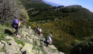 La Souche - Haut du Mont Aigu et Clapas ©M.Barkats