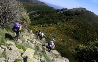 La Souche - Haut du Mont Aigu et Clapas ©M.Barkats - ©M.Barkats