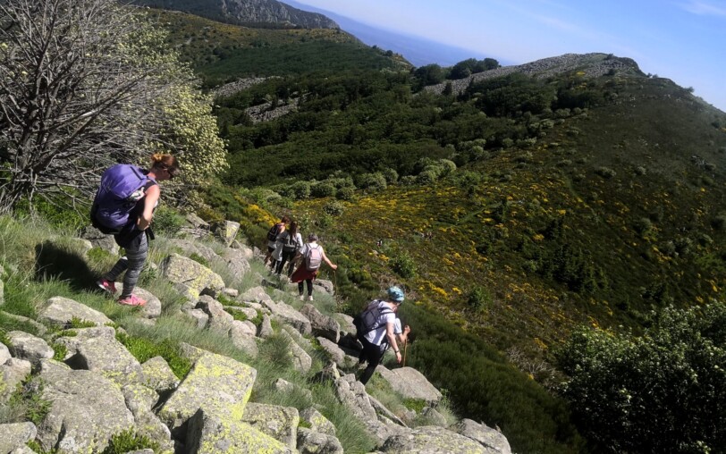 La Souche - Haut du Mont Aigu et Clapas ©M.Barkats