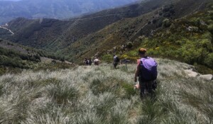 Granite sea or Clapas in La Souche