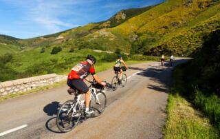 La souche - l'ardéchoise 2 - ©S.BUGNON