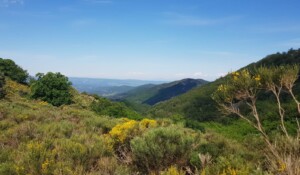 Wandern : Mont Aigu Runde in La Souche