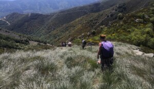 Wandern : Mont Aigu Runde in La Souche
