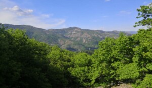 Wandern : Mont Aigu Runde in La Souche