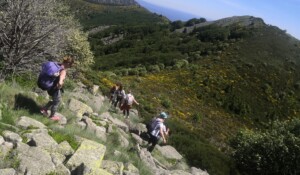 Wandern : Mont Aigu Runde in La Souche