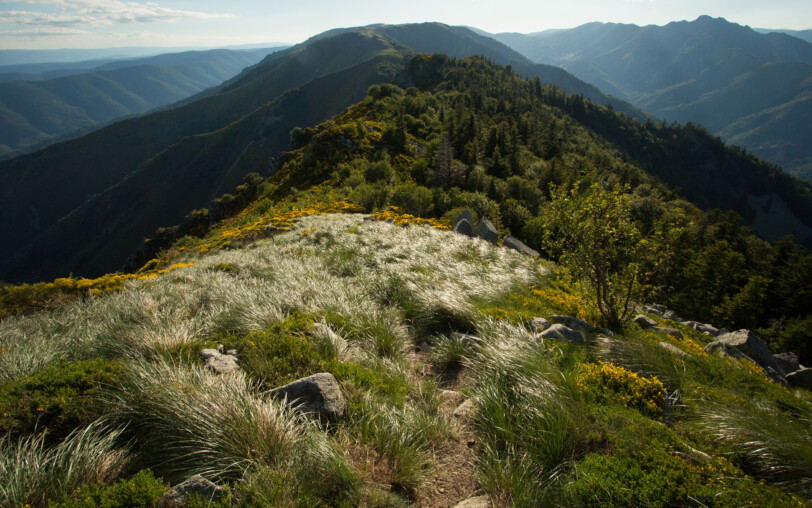 Wandern : Mont Aigu Runde in La Souche