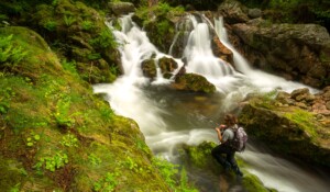La Souche - Pêche sur le Lignon vers St Louis ©S.BUGNON
