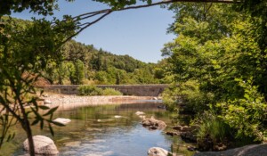 La Souche - Plan d'eau au calme ©sourcesvolcans
