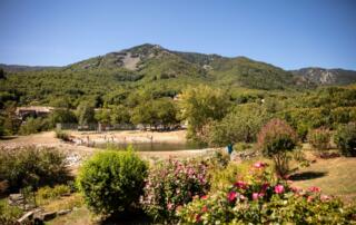 La Souche - Plan d'eau en fleurs ©sourcesvolcans - ©sourcesvolcans