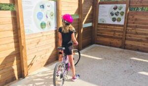 Observatoire de la faune