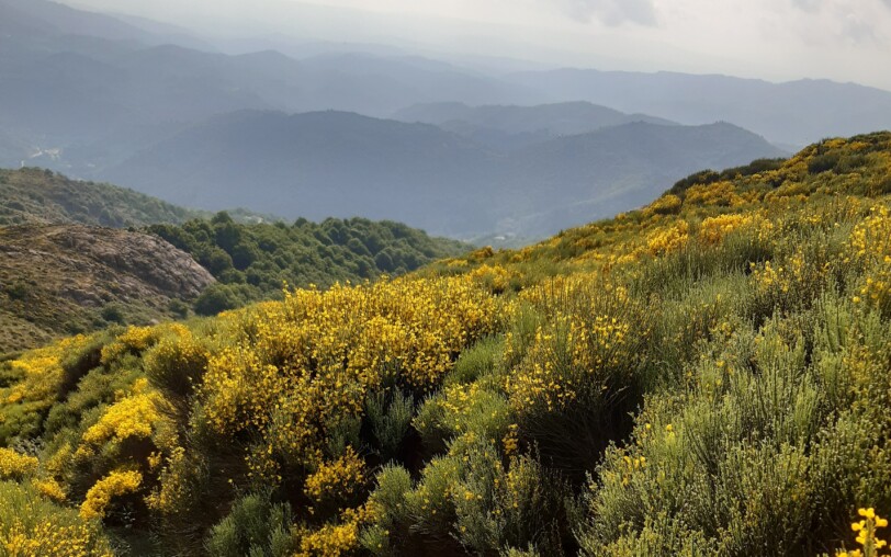 Guided hikes A mountain to live on