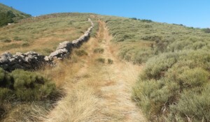 Sur le chemin de Ladenne