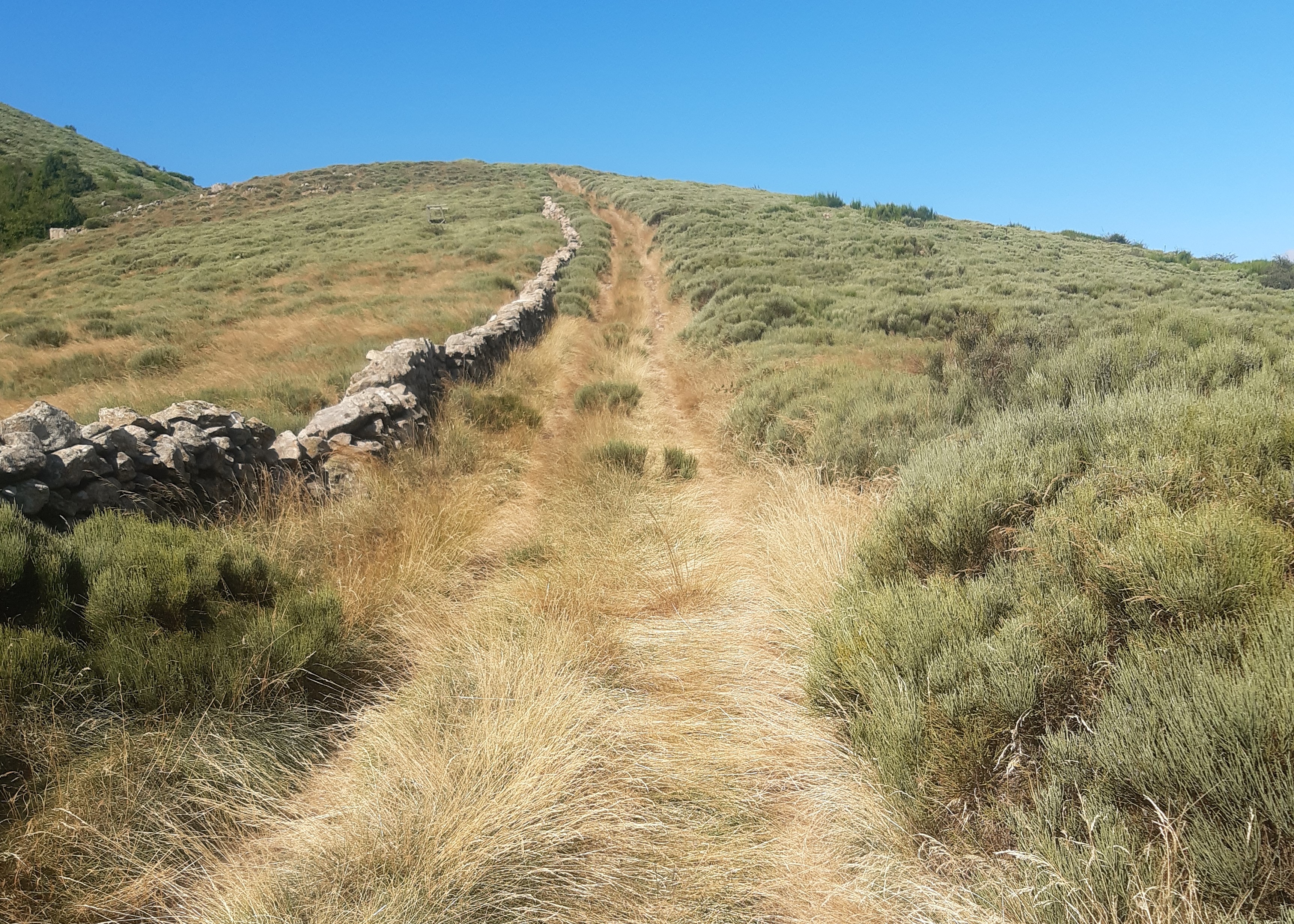 Sur le chemin de Ladenne