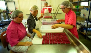 Village of Lalevade d'Ardèche