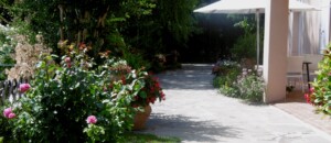 Soleillado - jardin 1 - gite