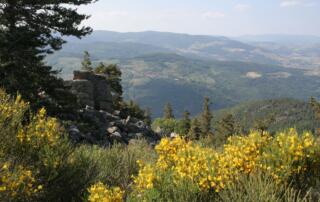 Le chirat blanc – St Symphorien de Mahun - ©Mairie de St Symphorien de Mahun