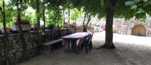 Repas sous le tilleul, à l'ombre