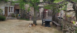 la cour et le gite au prinptemps