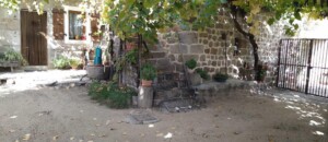 L'été, à l'ombre sous le tilleul et la treille