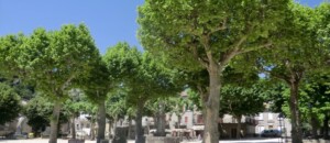 vue sur la place de la cuisine