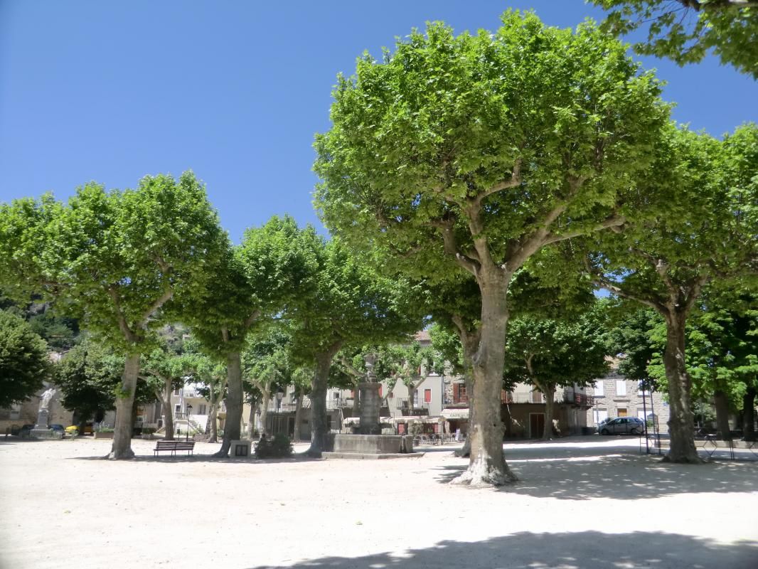 vue sur la place de la cuisine