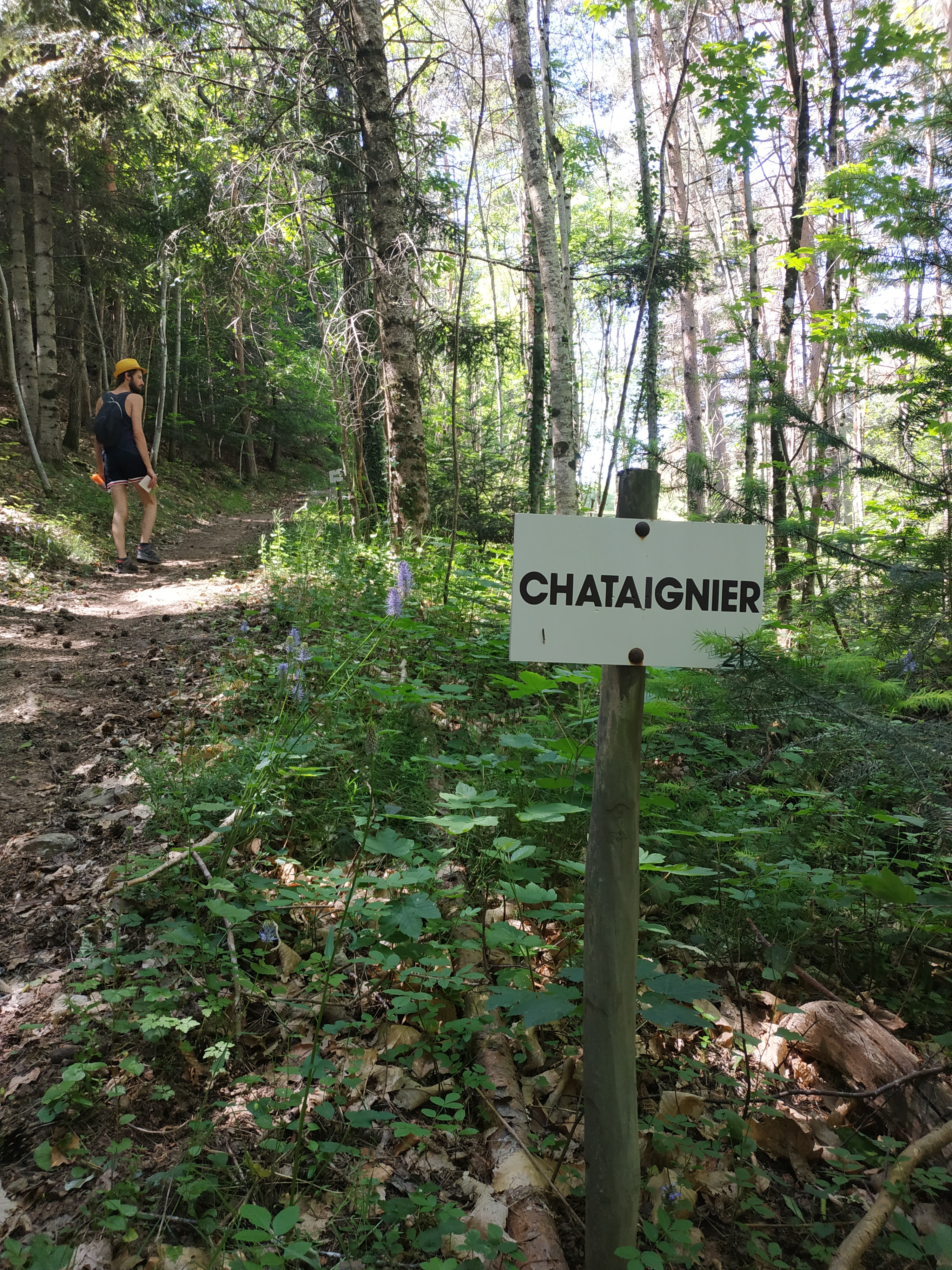 Sentier botanique de la Pinsole