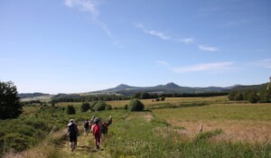 Around Mont Gerbier de Jonc with a donkey_Burzet