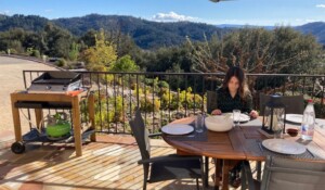 la terrasse