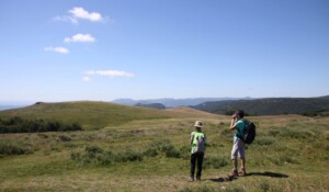 Around Mont Gerbier de Jonc with a donkey_Burzet