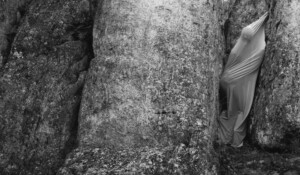 Exhibitions at the Château du Pin_Fabras