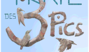 Trail des 3 pics“ (Trail der 3 Gipfel)