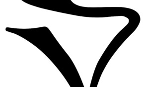 Logo de Syl Vicious noir montrant un S et un V