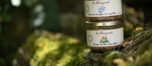 Lots de terrines de sanglier et porc