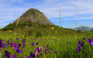 Le Mont Gerbier de Jonc_Saint-Martial - ©Stephane.Tripot