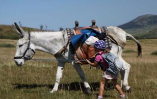 Ma première expérience avec un âne de randonnées - ©O.Mathis