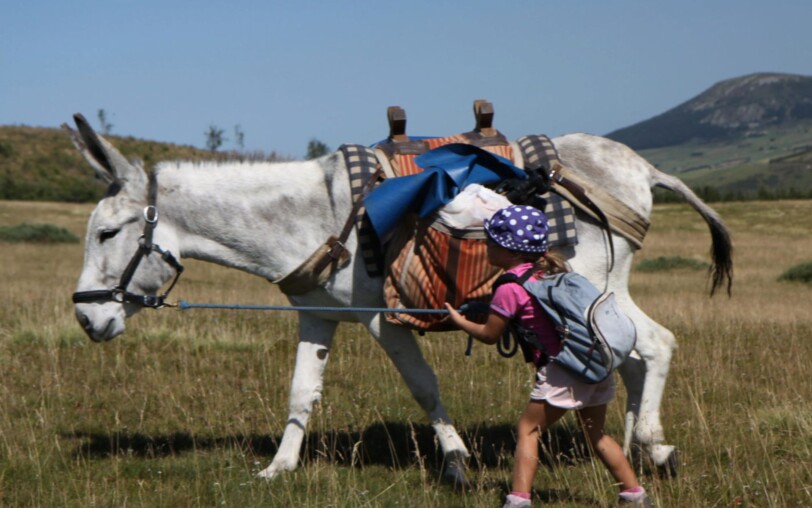 My first experience of hiking with a donkey_Burzet
