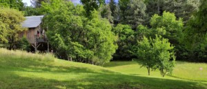 Cabane perchée La Polette