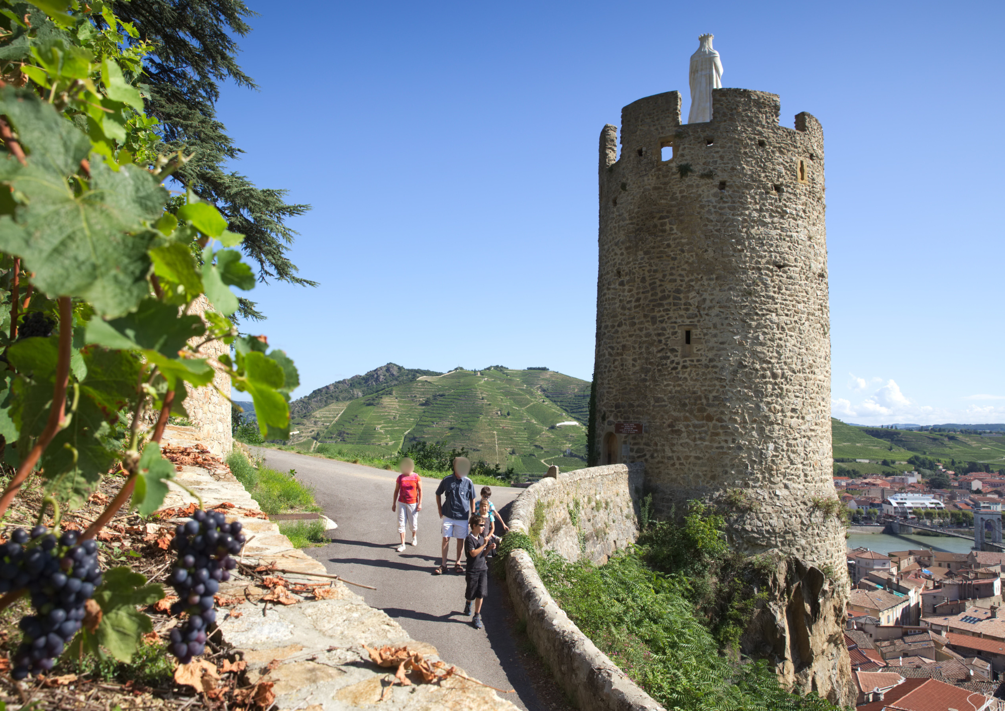 Vignobles en terrasse_Tournon-sur-Rhône