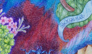 Exhibitions at the Château du Pin_Fabras