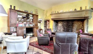 Sejour et sa cheminée monumentale.