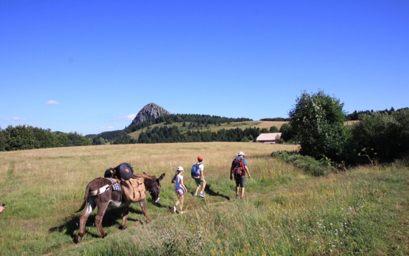 Geführte Wanderung zu den Vulkanen der Monts d’Ardèche mit einem Esel_Burzet