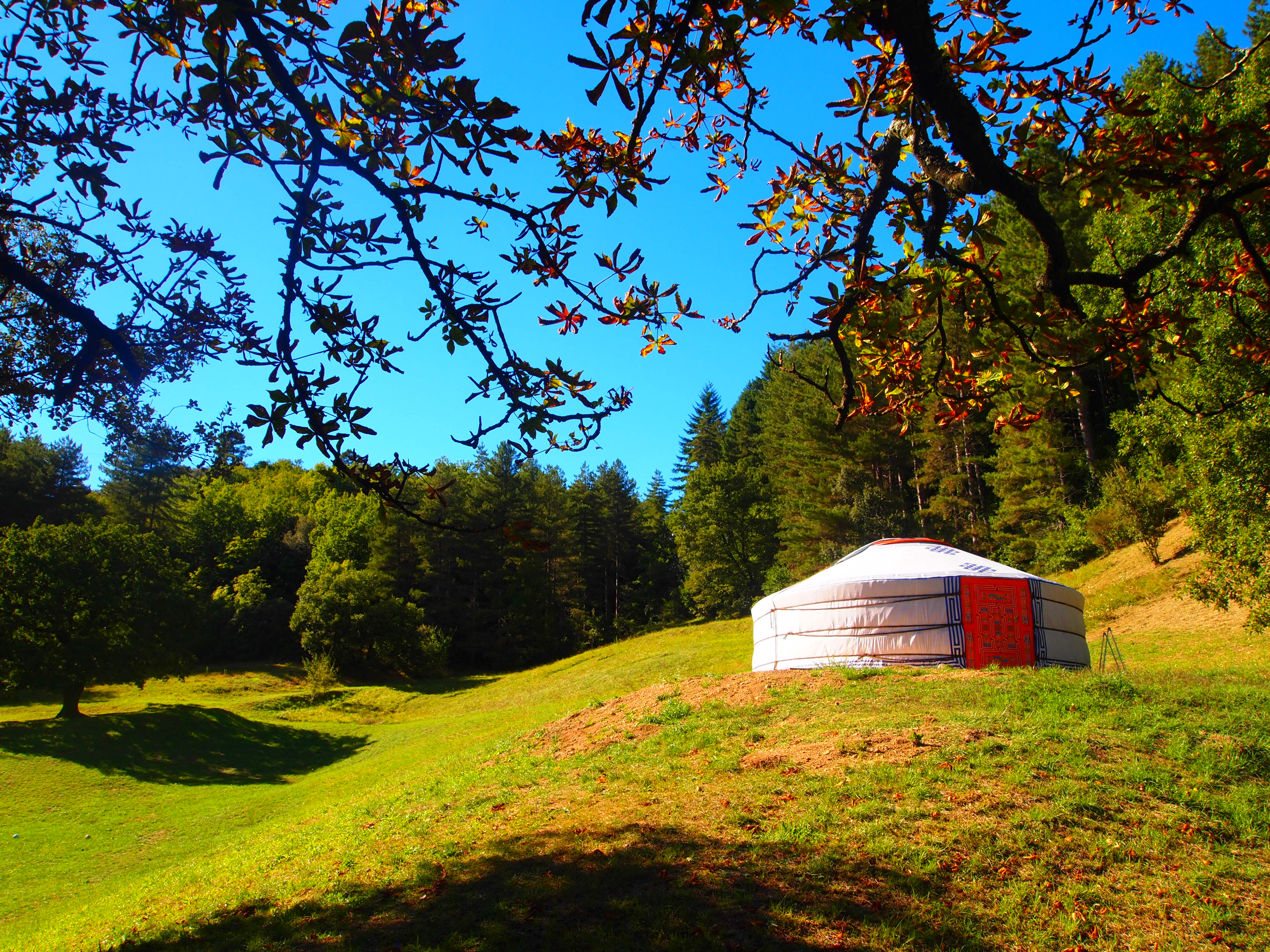 Le Mas du Pestrin guesthouse