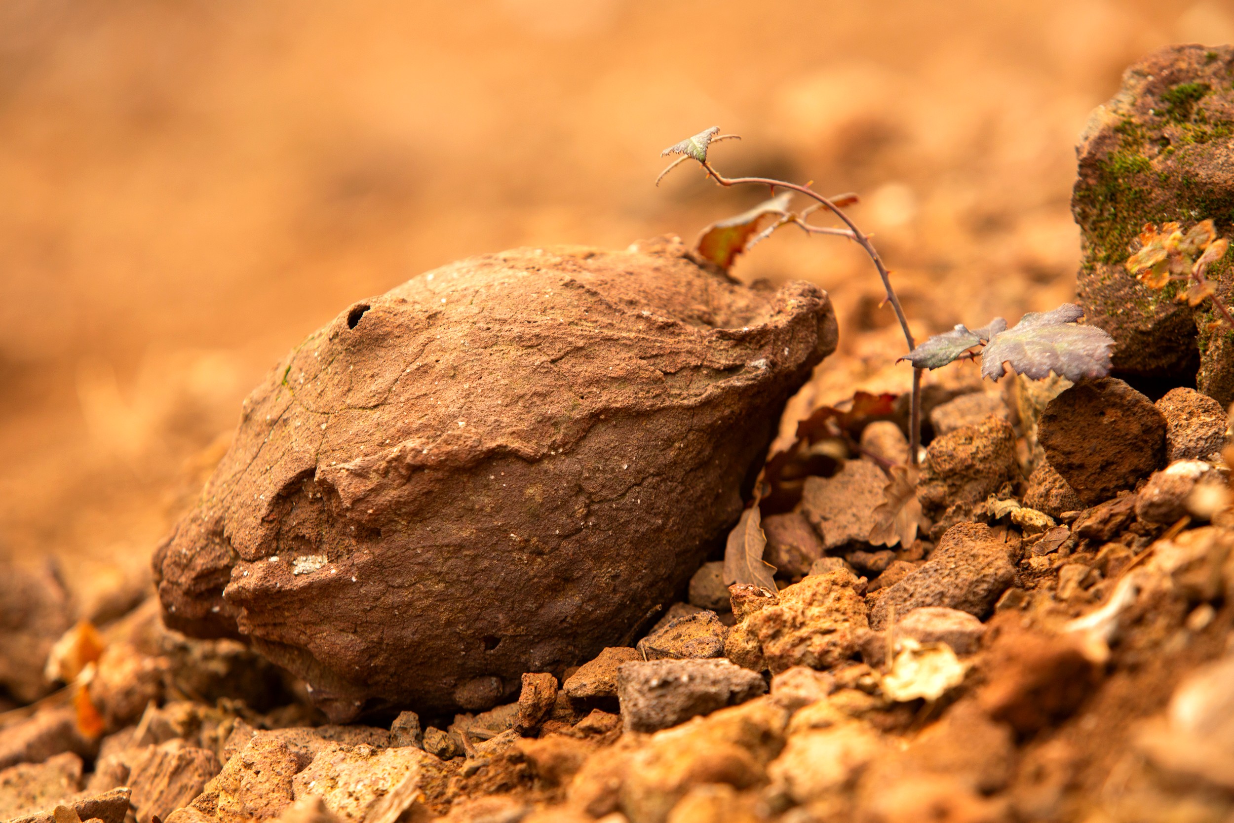 Meyras - Bombe volcanique au Souilhol ©S.BUGNON