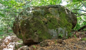 Souilhol Volcanic bomb