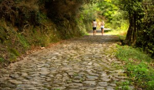 Guided tours Ventadour castle